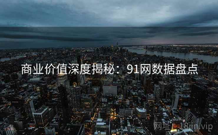 商业价值深度揭秘：91网数据盘点